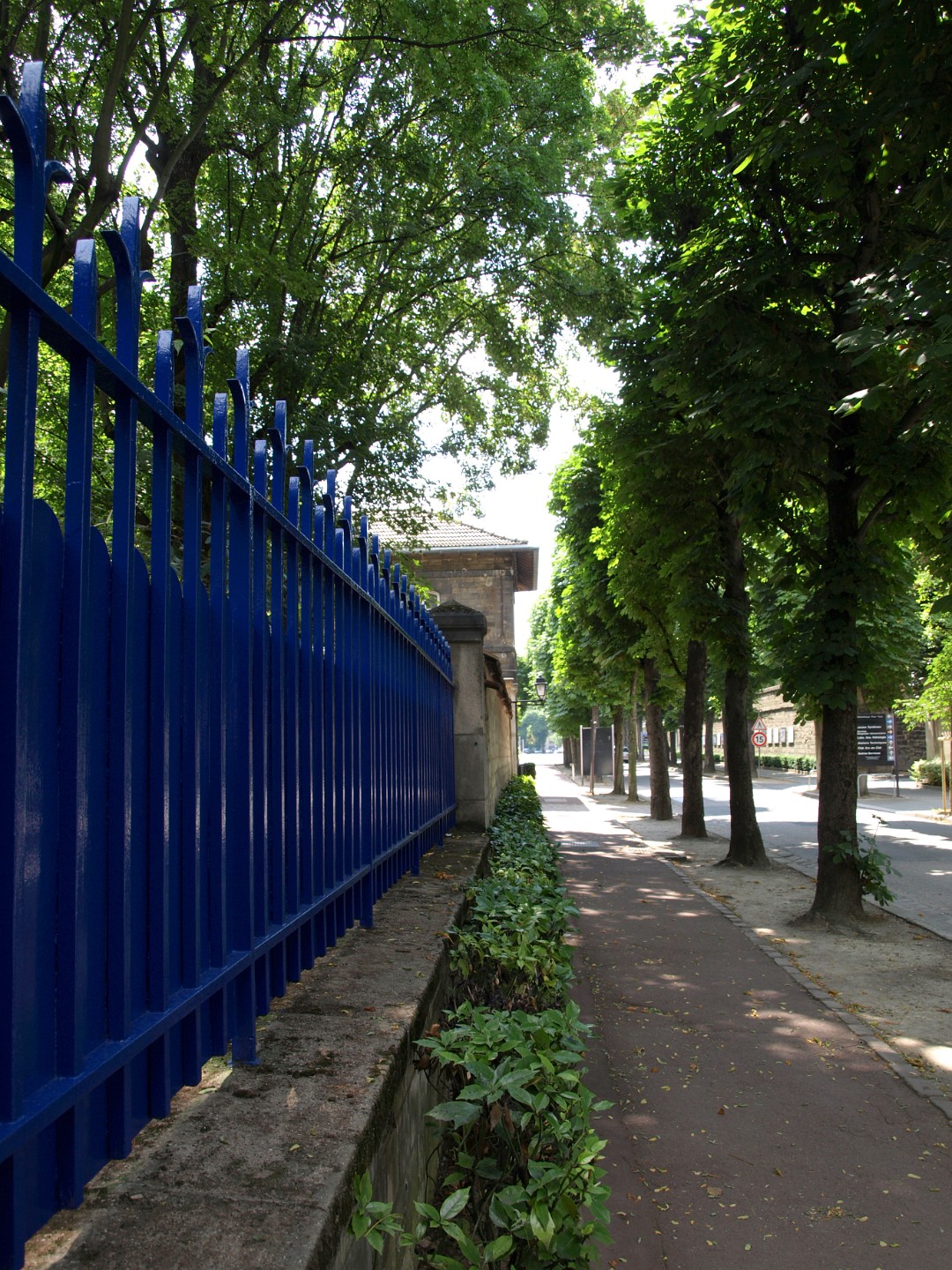 Blue Fence at the Saint Anne Hospital
